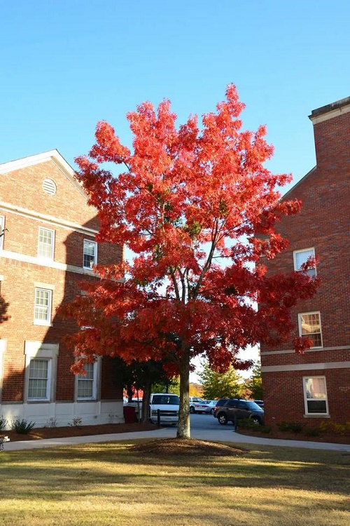 1595638287359202.jpg af780756f14c439484a379ee5821bf42.jpg